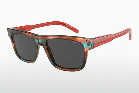 Aurinkolasit Arnette POST MALONE+ARNETTE (AN4279 121287)