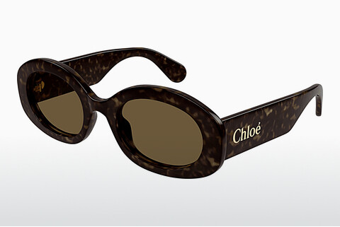 Aurinkolasit Chloé CH0258S 002