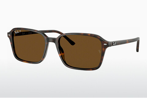 Aurinkolasit Ray-Ban RAIMOND (RB2231 902/57)