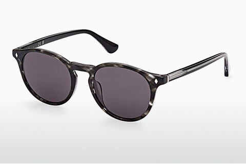 Aurinkolasit Web Eyewear WE0328 56E