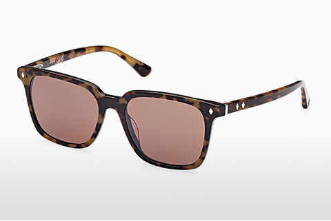 Aurinkolasit Web Eyewear WE0348 56E