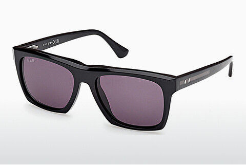 Aurinkolasit Web Eyewear WE0350 05A