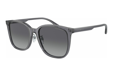 Aurinkolasit Emporio Armani EA4206D 5029T3