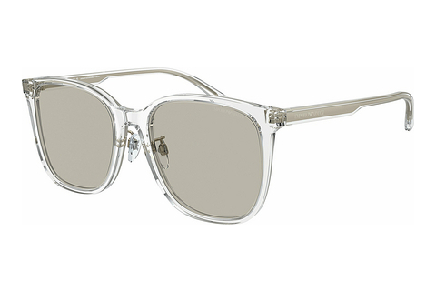 Aurinkolasit Emporio Armani EA4206D 5893/3