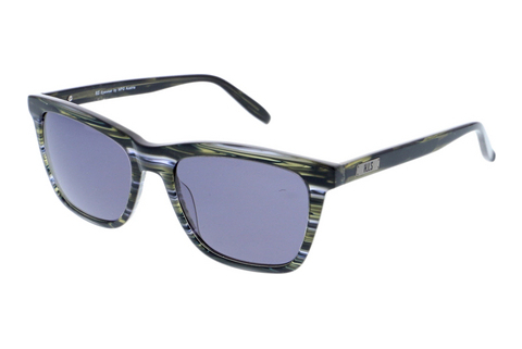 Aurinkolasit HIS Eyewear HS379 001