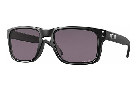 Aurinkolasit Oakley HOLBROOK (OO9102 9102E8)