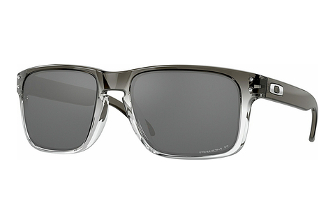 Aurinkolasit Oakley HOLBROOK (OO9102 9102O2)