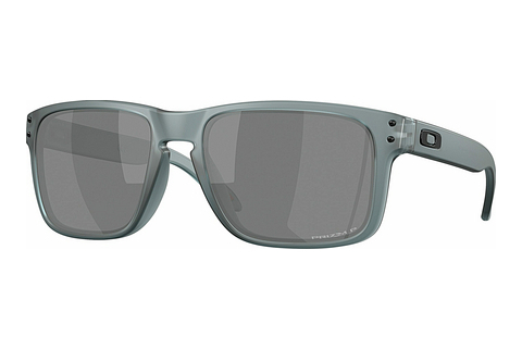 Aurinkolasit Oakley HOLBROOK (OO9102 9102Z4)