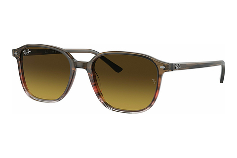 Aurinkolasit Ray-Ban LEONARD (RB2193 138085)