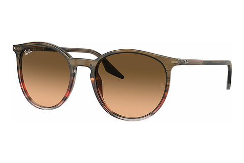 Aurinkolasit Ray-Ban RB2204 13953B