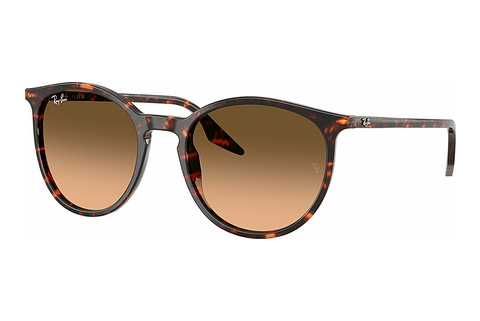 Aurinkolasit Ray-Ban RB2204 14293B