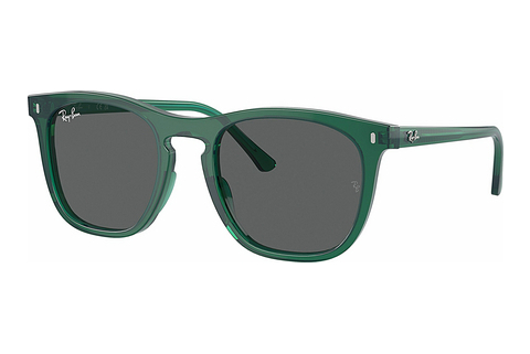 Aurinkolasit Ray-Ban RB2210 6615B1