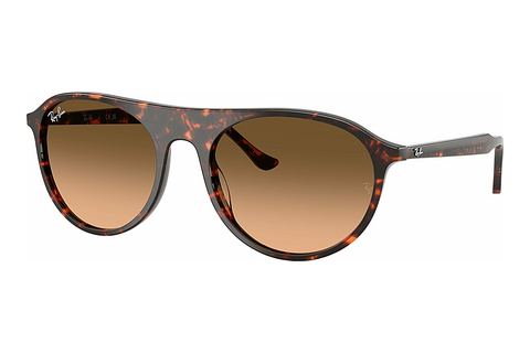 Aurinkolasit Ray-Ban RB2215 14293B