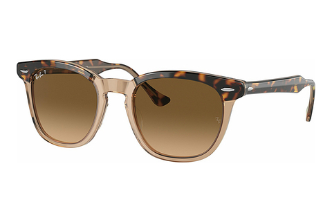 Aurinkolasit Ray-Ban HAWKEYE (RB2298 1292M2)