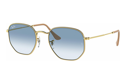 Aurinkolasit Ray-Ban Hexagonal (RB3548 001/3F)