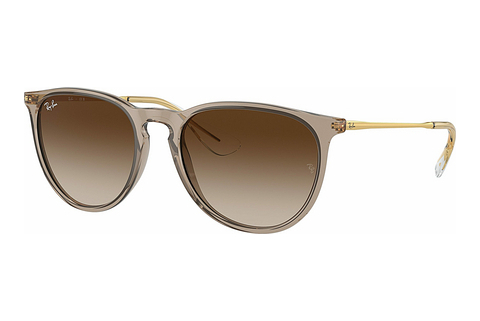 Aurinkolasit Ray-Ban ERIKA (RB4171 674413)