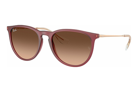 Aurinkolasit Ray-Ban ERIKA (RB4171 6815A5)