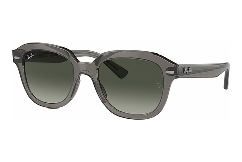 Aurinkolasit Ray-Ban ERIK (RB4398 667571)