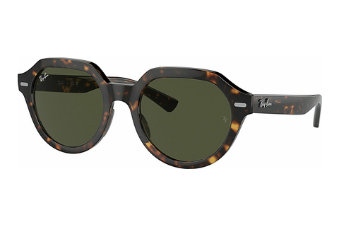 Aurinkolasit Ray-Ban GINA (RB4399 902/31)