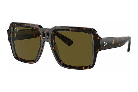 Aurinkolasit Ray-Ban MAGELLAN (RB4408 135973)