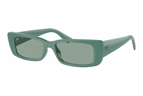 Aurinkolasit Ray-Ban TERU (RB4425 676282)