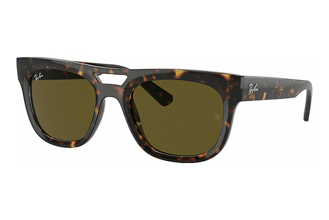 Aurinkolasit Ray-Ban PHIL (RB4426 135973)