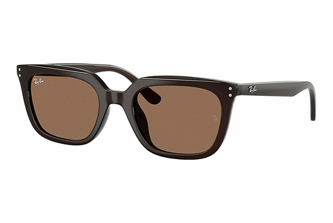 Aurinkolasit Ray-Ban RB4439D 623173