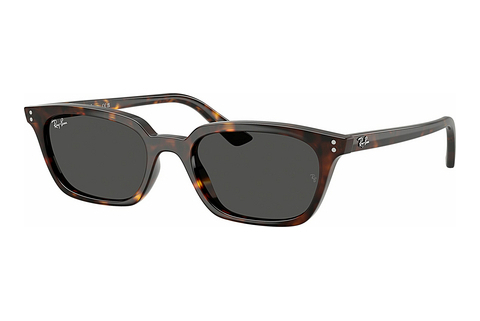 Aurinkolasit Ray-Ban ZAYA (RB4456 135987)