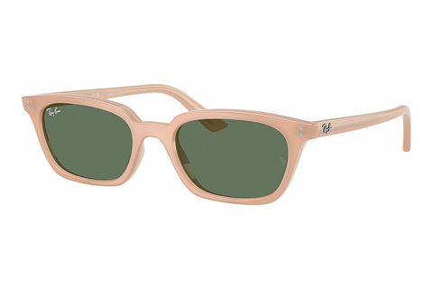 Aurinkolasit Ray-Ban ZAYA (RB4456 681182)