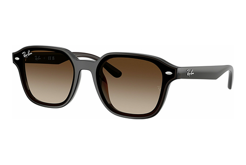 Aurinkolasit Ray-Ban RB4458D 714/13