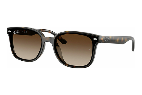 Aurinkolasit Ray-Ban RB4461D 710/13