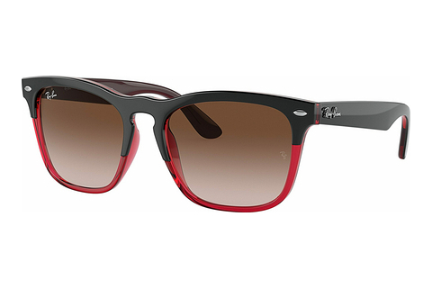 Aurinkolasit Ray-Ban STEVE (RB4487 663113)