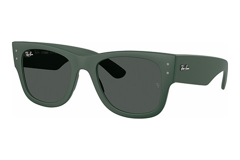 Aurinkolasit Ray-Ban RB4840S 665787