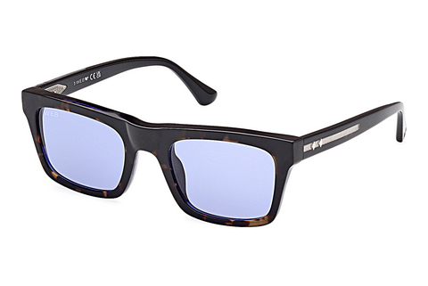 Aurinkolasit Web Eyewear WE0362 56V