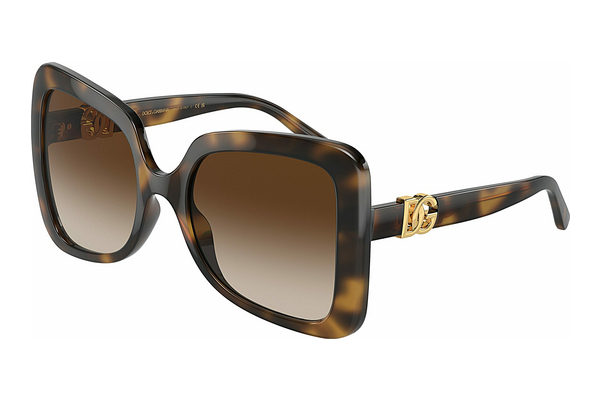 Aurinkolasit Dolce & Gabbana DG6193U 502/13