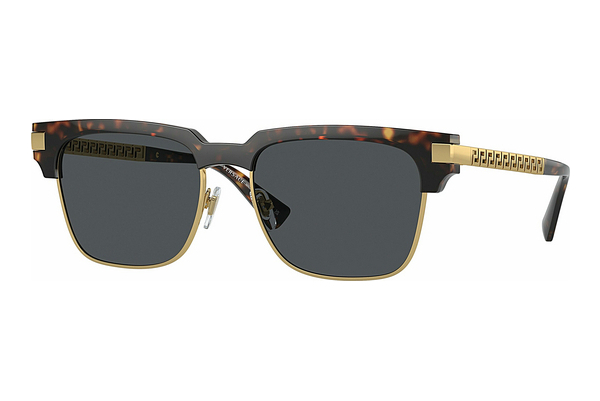 Aurinkolasit Versace VE4447 108/87